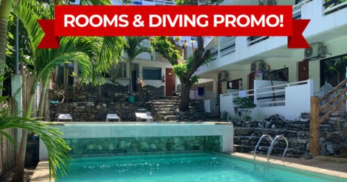Rooms Diving Special Offer jalyn's resort puerto galera